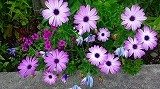 b0147522_9152197.jpg