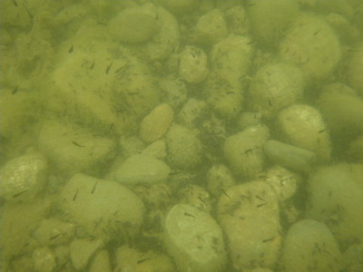 e0098223_13471640.jpg