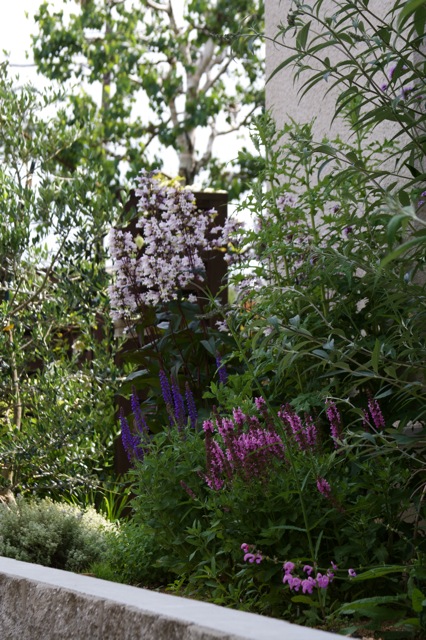 e0021328_231082.jpg
