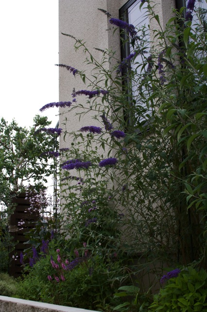 e0021328_23213543.jpg