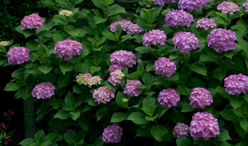 a0253730_18571321.jpg