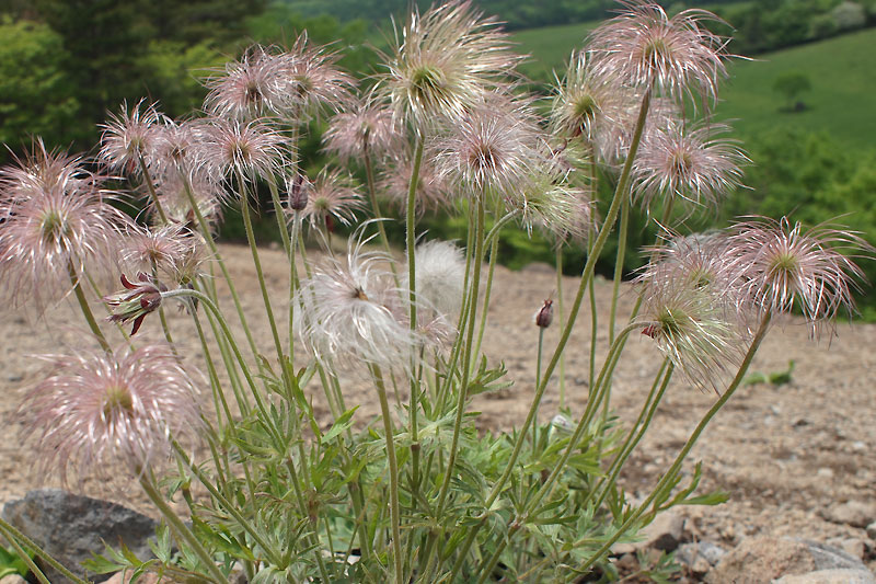 b0179231_015579.jpg