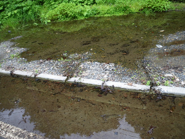 f0118332_9402811.jpg