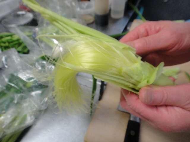 f0208737_88394.jpg