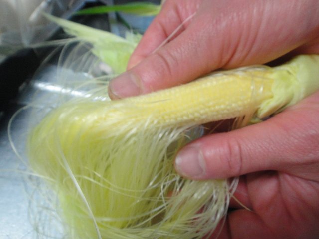 f0208737_88487.jpg