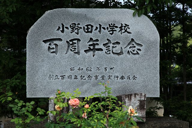 a0242438_18584780.jpg