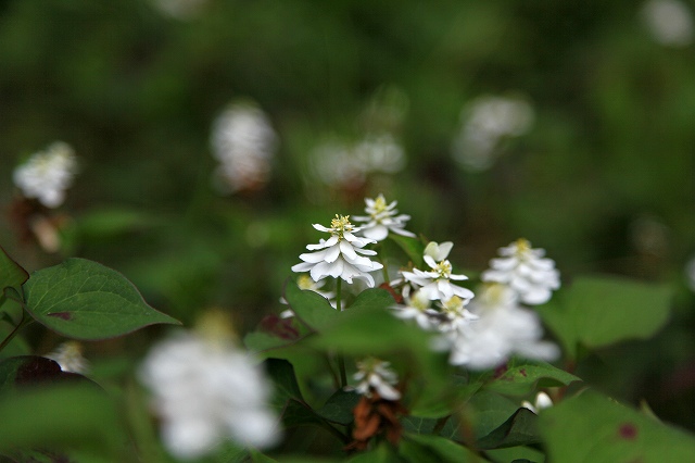 a0242438_192411.jpg