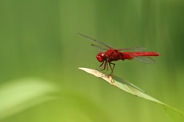 a0242438_1932579.jpg