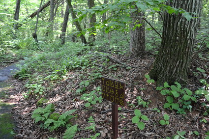e0228938_1874517.jpg