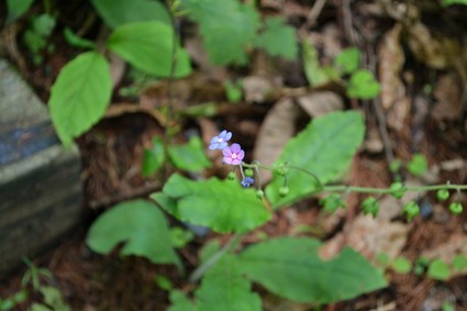 e0228938_187545.jpg