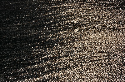 a0182241_1663733.jpg