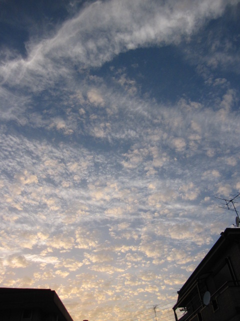 b0097747_20281577.jpg