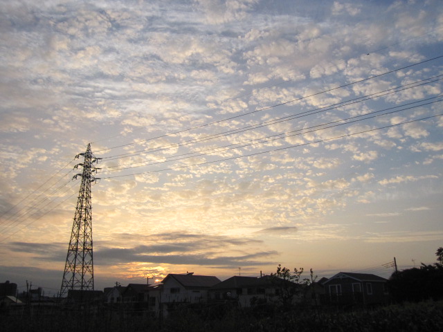 b0097747_2028480.jpg