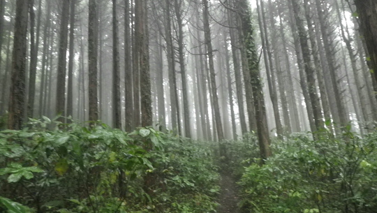 c0042847_17111382.jpg