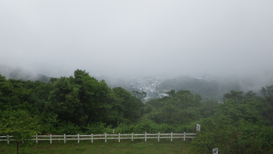 c0042847_17115098.jpg