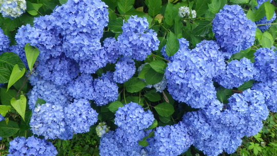 c0042847_1731630.jpg
