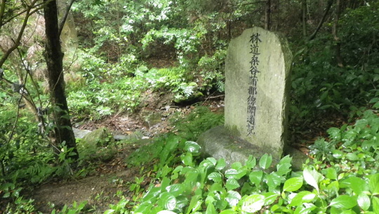 c0042847_1755075.jpg