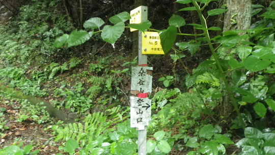 c0042847_1763781.jpg