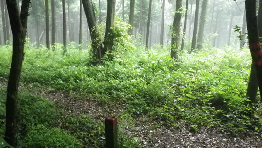 c0042847_1772688.jpg