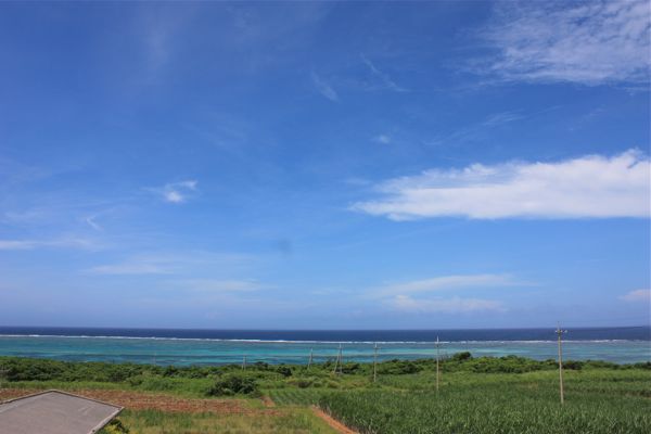 a0246566_1123399.jpg