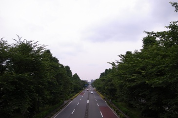 d0160684_7362265.jpg