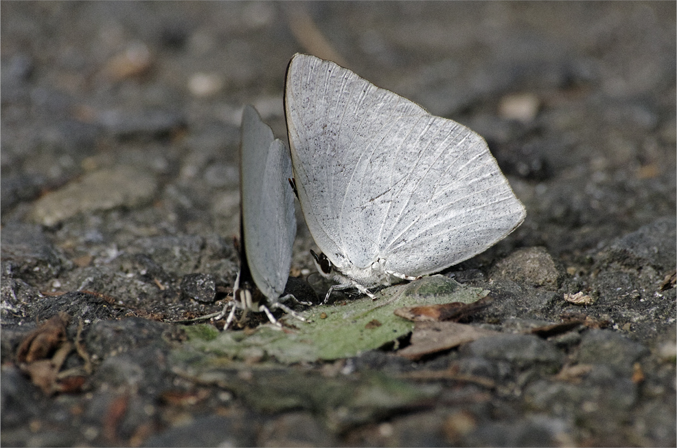 d0209988_20283521.jpg
