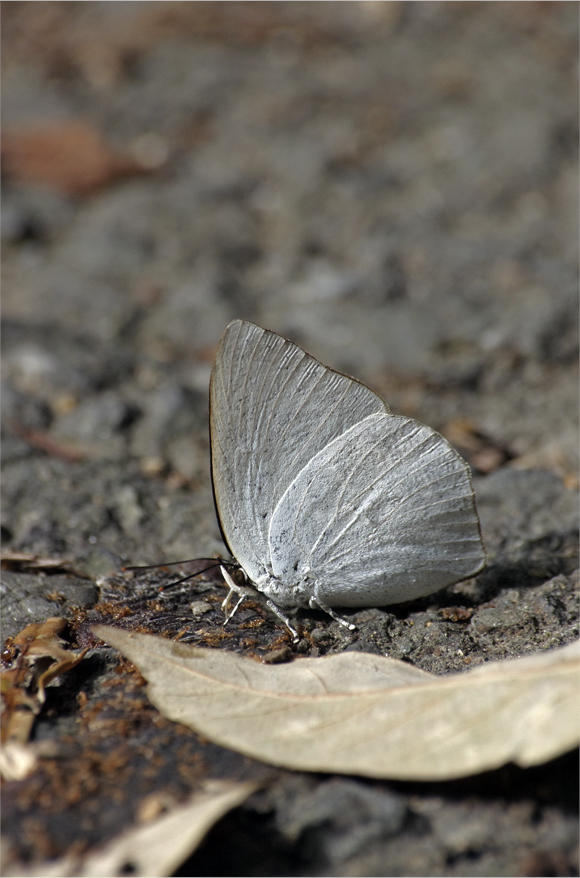 d0209988_20362243.jpg