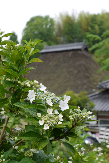 f0222692_16213779.jpg