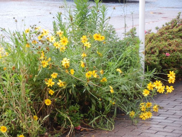 f0130894_22221994.jpg