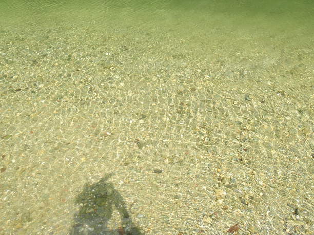 f0219195_2244094.jpg