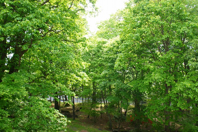d0141800_3284627.jpg