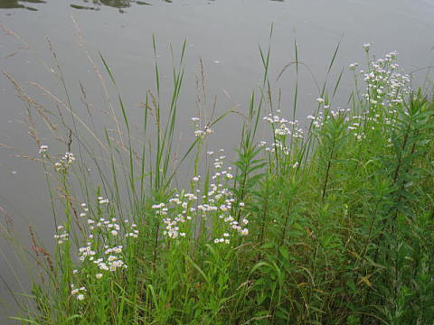 d0046702_682520.jpg
