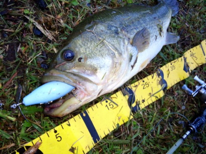 c0023804_20264550.jpg