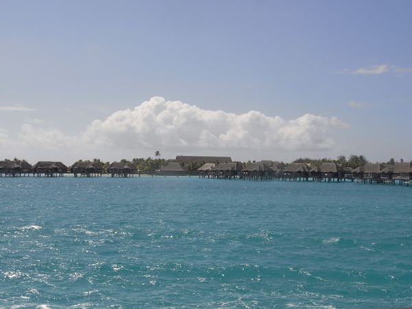 f0006510_1165397.jpg