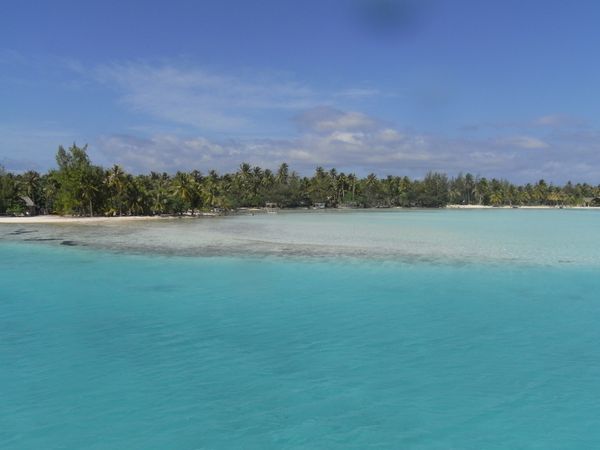 f0006510_1181774.jpg