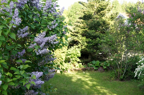 d0241813_4361539.jpg