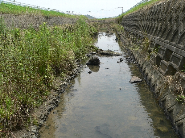 e0002314_17383814.jpg