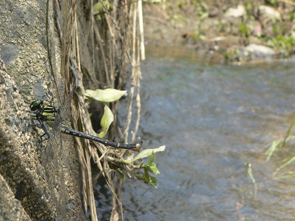 e0002314_1741389.jpg