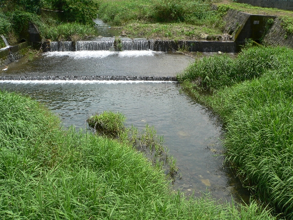 e0002314_1747582.jpg