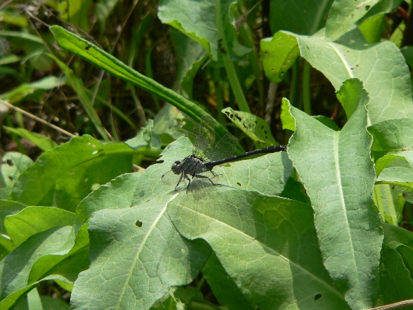 e0002314_17482016.jpg