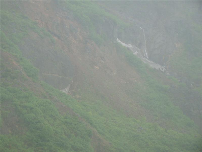 a0127015_93029.jpg