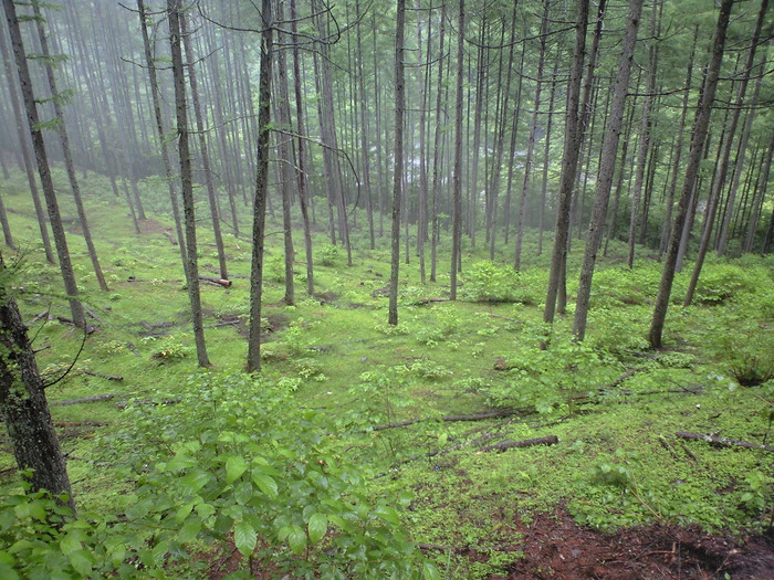 d0168318_13404136.jpg