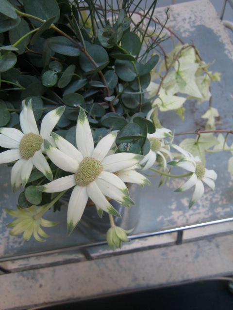 e0141819_88569.jpg