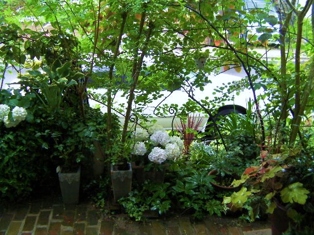 c0204121_931323.jpg