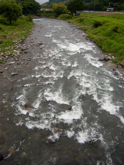 f0103126_20122517.jpg