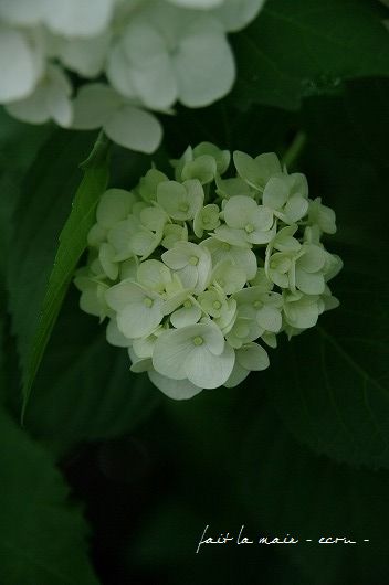 c0093830_2032439.jpg
