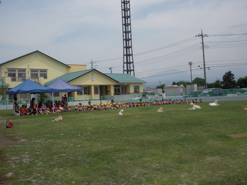 c0114833_1093133.jpg