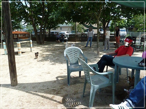 d0140133_9485865.jpg