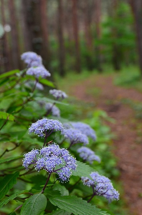 b0236334_1929104.jpg