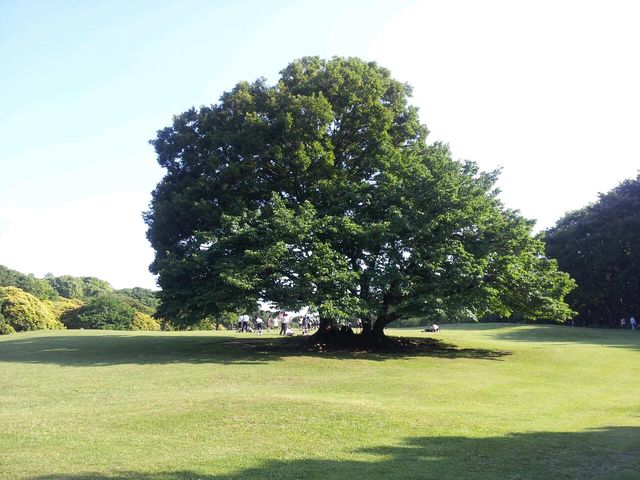 d0075741_0335947.jpg